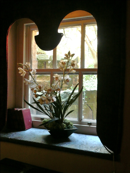 a plant in a pot next to a window